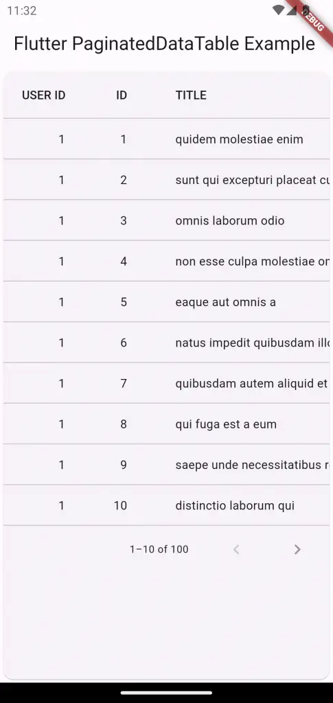 flutter paginateddatatable from API