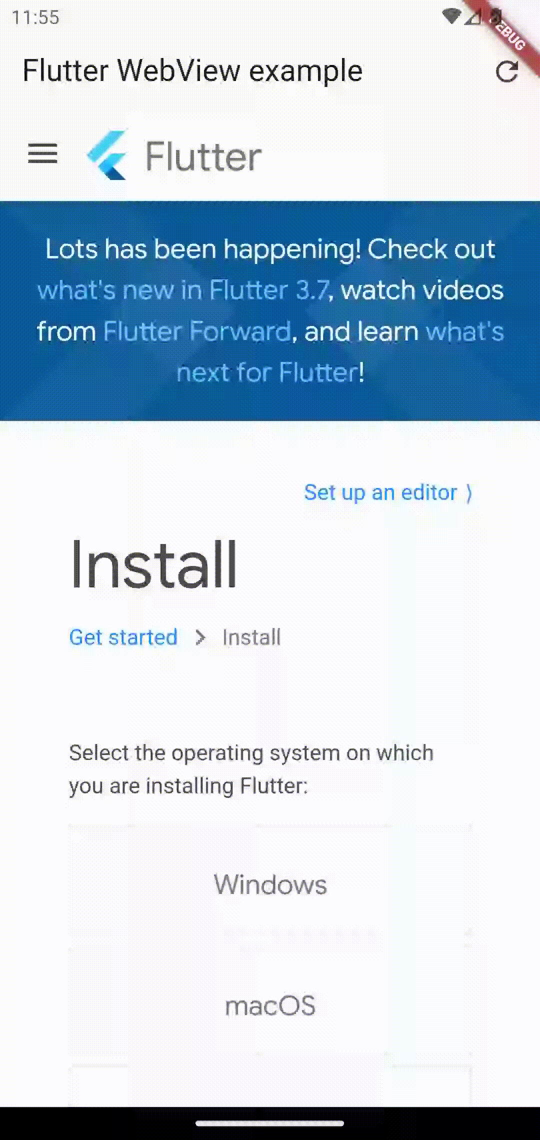 flutter webview reload