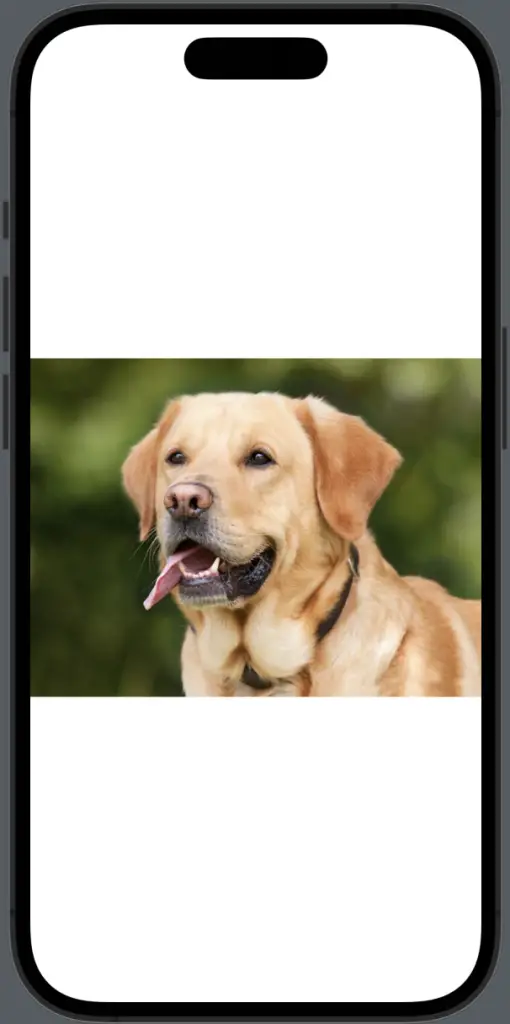 image aspect ratio swiftui