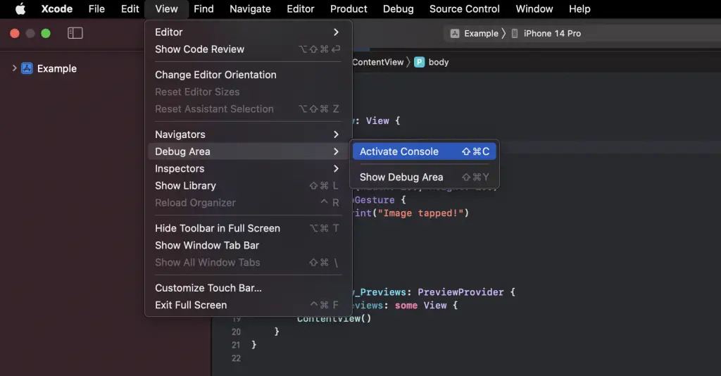 xcode open console
