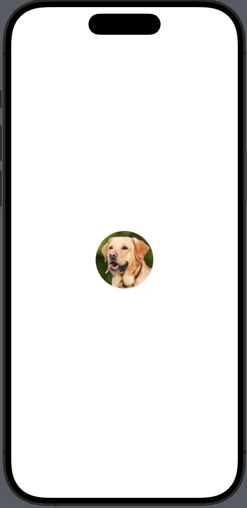 swiftui clip image circle