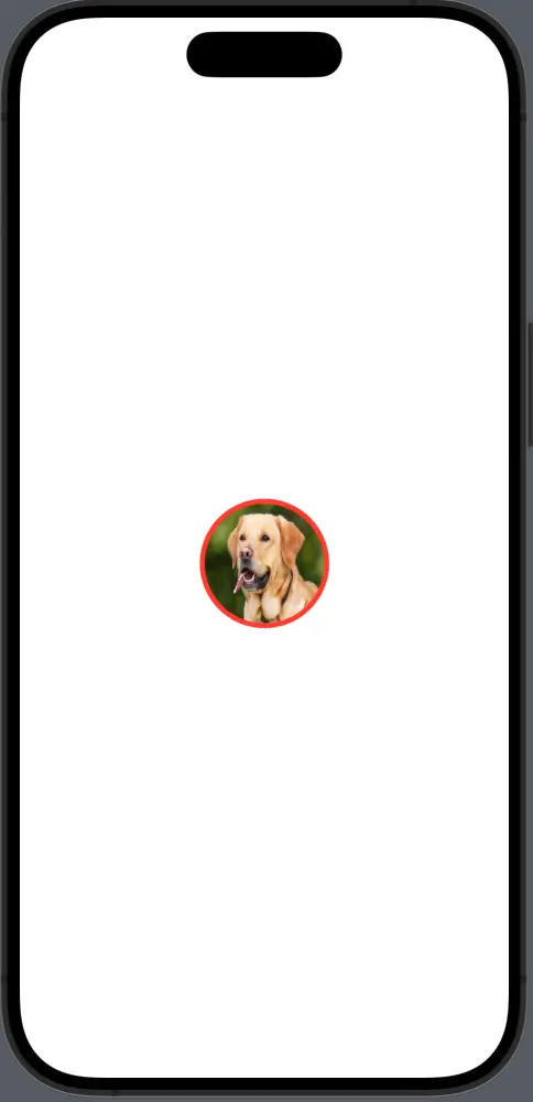swiftui image clip shape with border