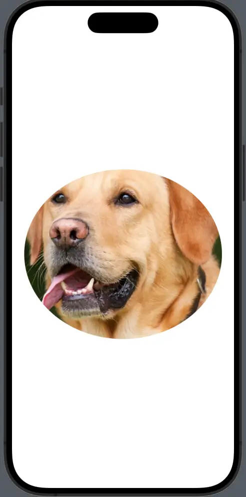 swiftui image mask oval